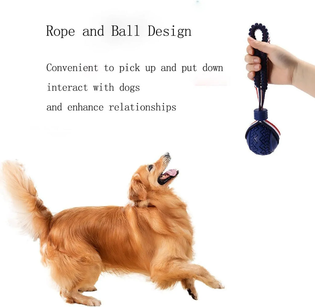 Blue and red natural rubber dog ball attached to a rope for tug-of-war and teeth cleaning.