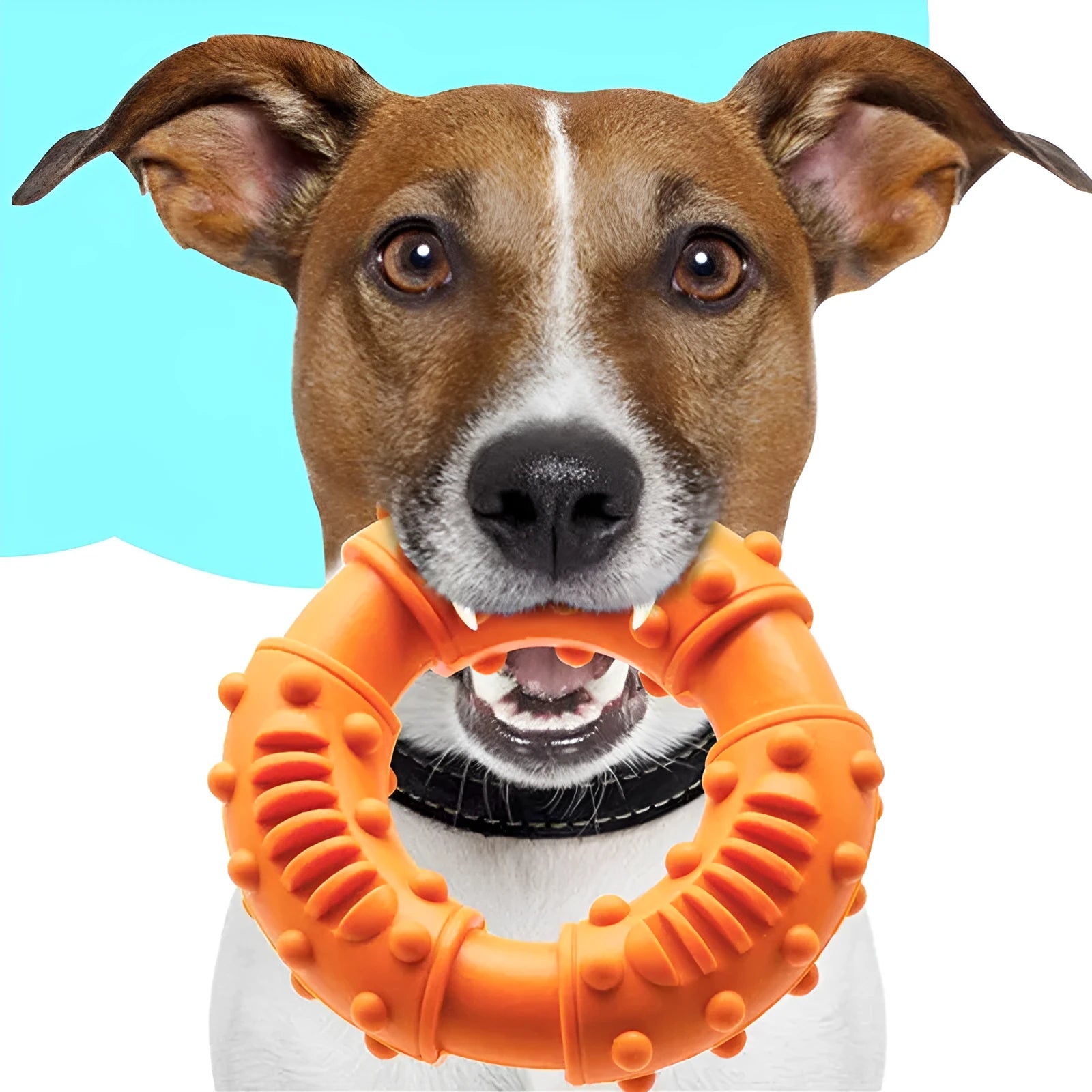 Blue hollow rubber dog fetching stick toy for fetch games and water play