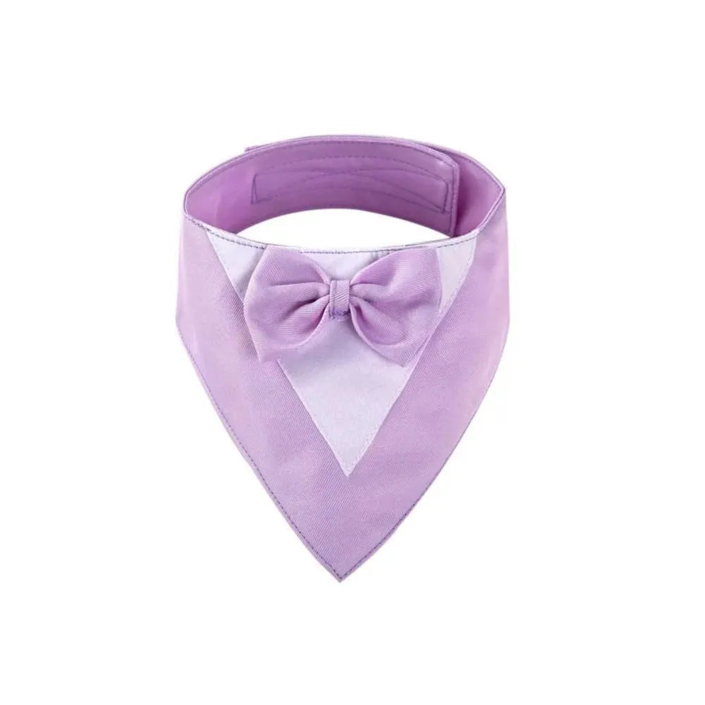 Colourful cotton dog bandana bib scarf with absorbent layer shown in multiple sizes on a collar.