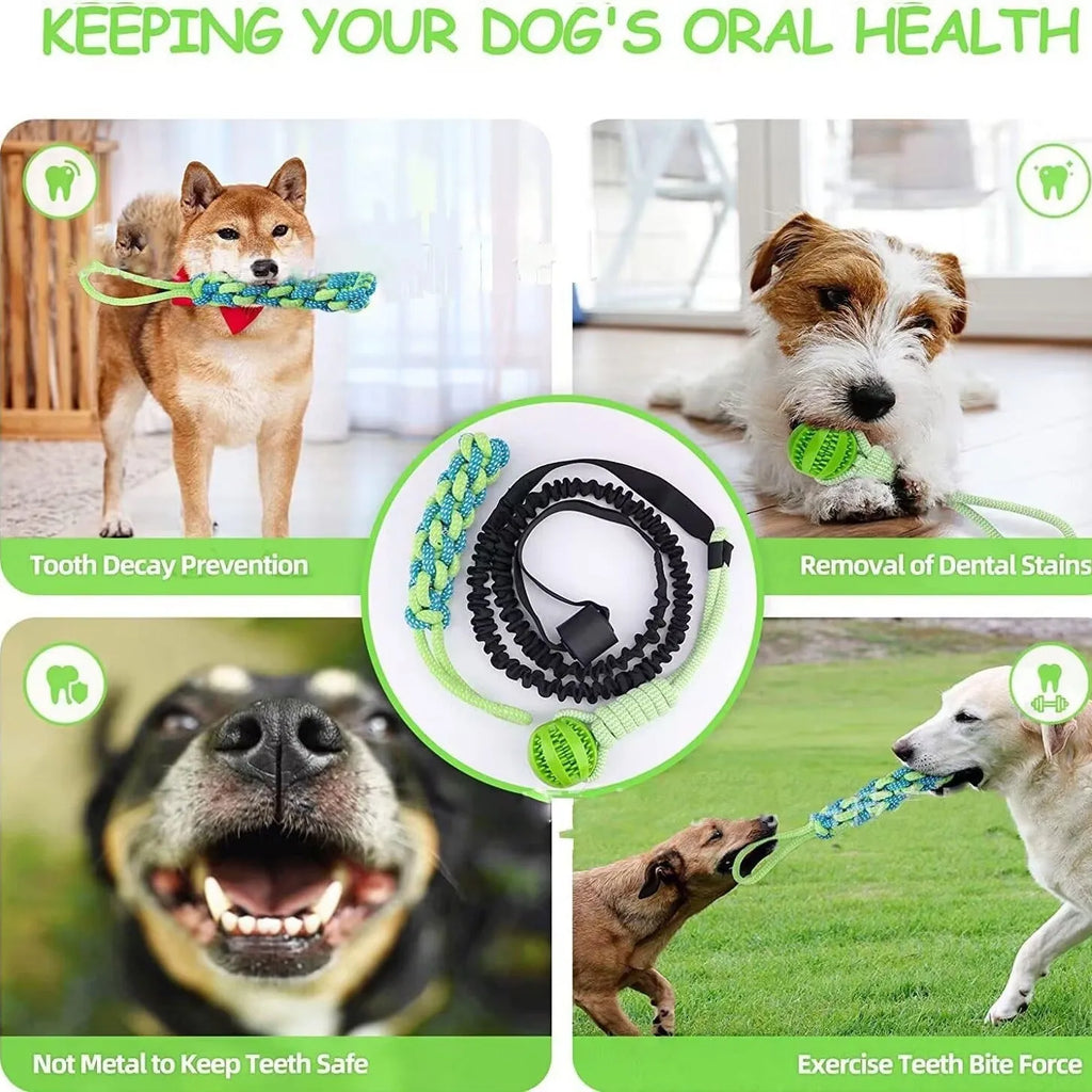 Green cotton dog tug rope toy with a ball design for bite and pull play.