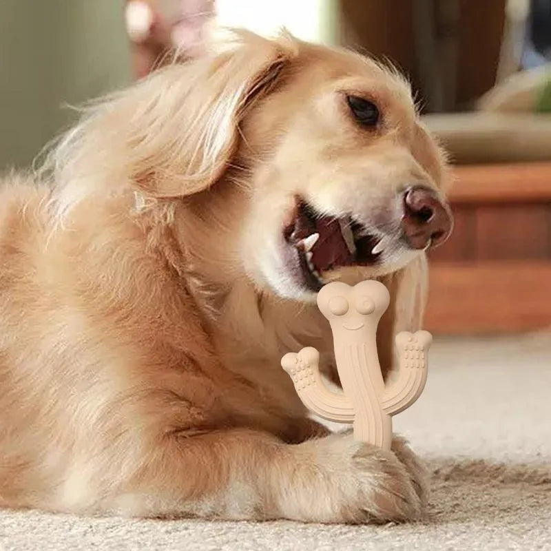 Cactus-shaped dog chew toy in bamboo fibre and rubber available in small and large sizes