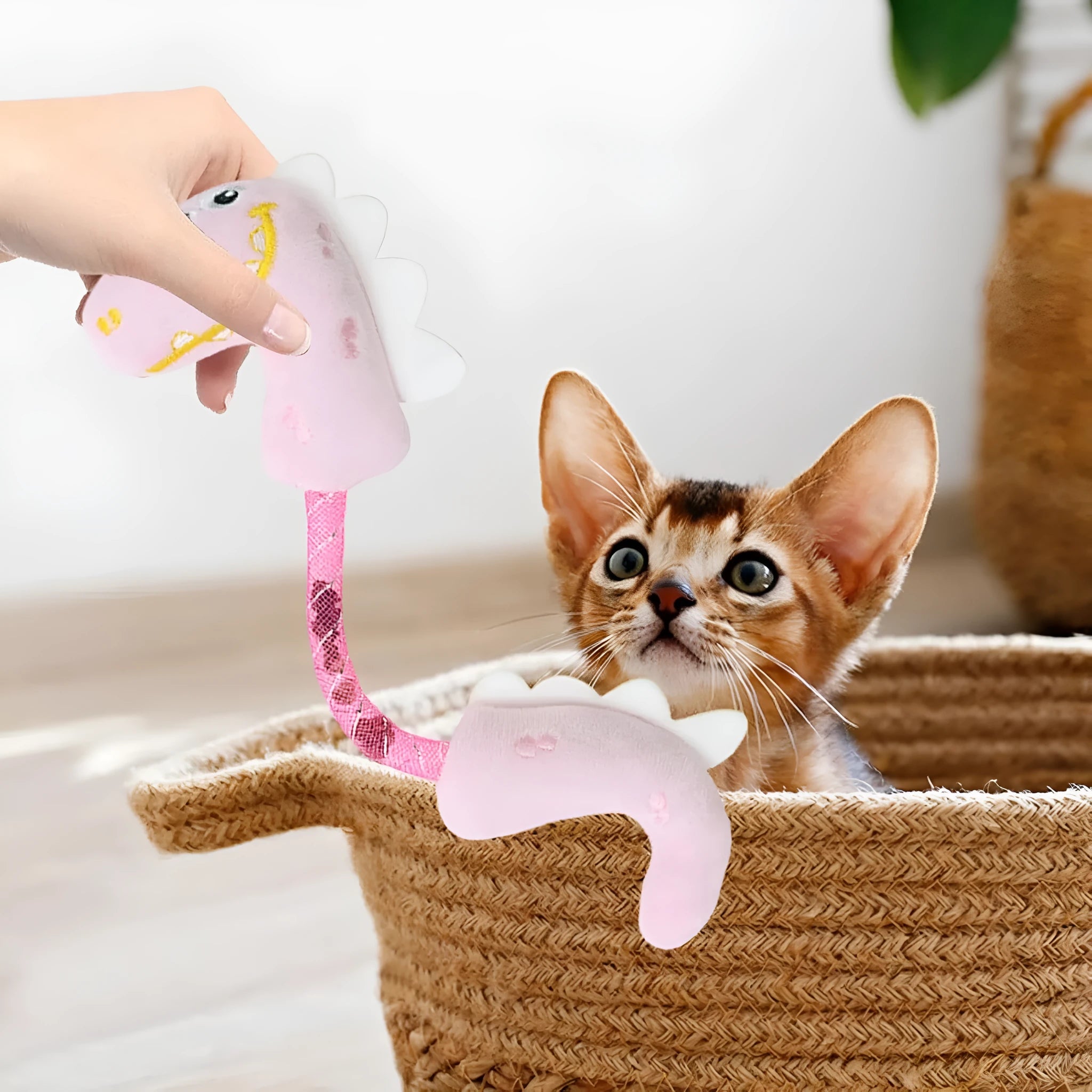 Four cat toys set showing catnip rope, plush mouse, plush fish, and plush bunny in pink, purple, yellow colours
