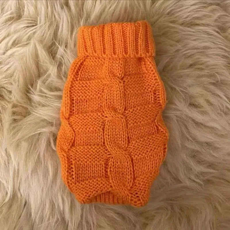 Cat wearing a knitted sweater in a bright colour, showing the pullover style for autumn winter pet clothing