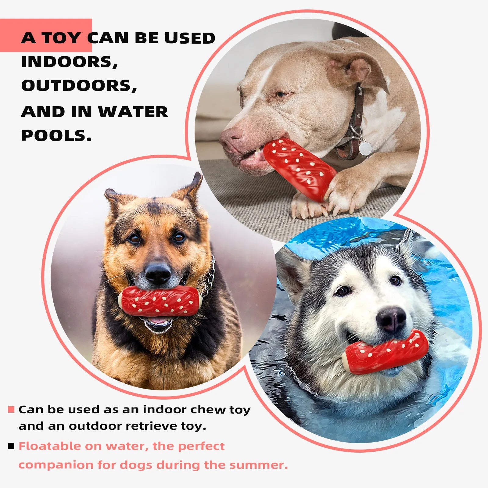 Blue and red plastic dog toy with toothbrush and molar rod textures for chewing and dental care.