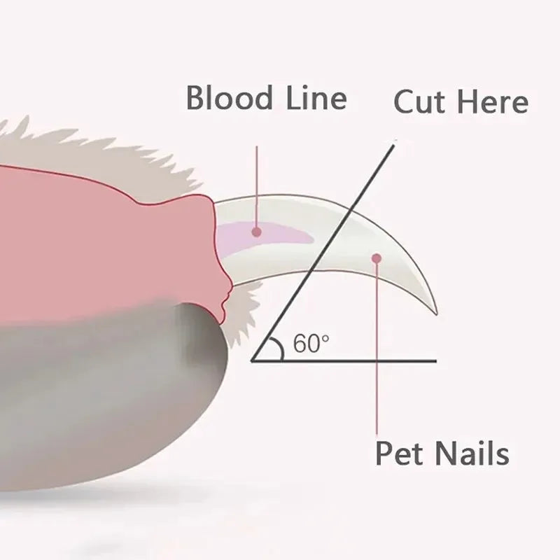 Blue pet nail clipper with LED light on, showing ergonomic handles and stainless steel blade.