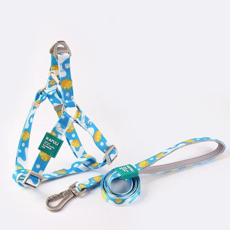 Blue polyester dog harness and lead combo set showing adjustable chest strap and attached rope.