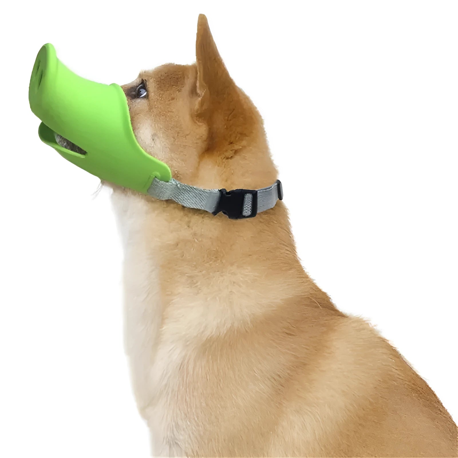 Blue and green silicone dog muzzle covers shown in small and large sizes for anti-bite training.