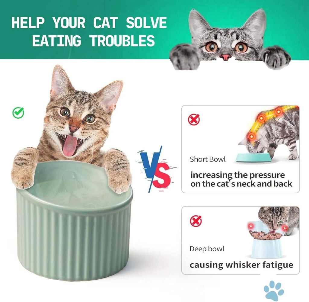 Elevated ceramic cat bowl in light green colour, showing tilted round design for whisker comfort.
