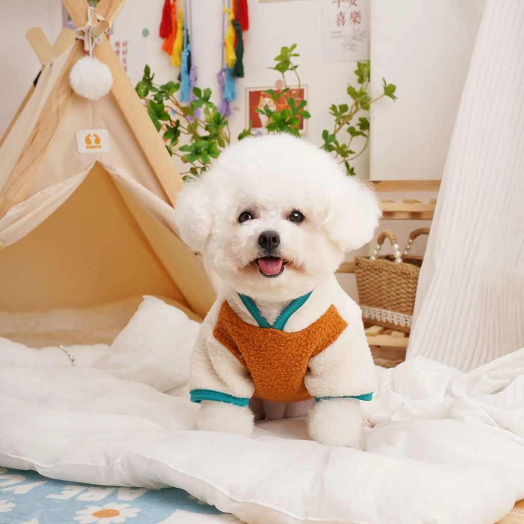 Dog wearing lambswool Berber fleece sweatshirt in caramel colour for autumn winter wear