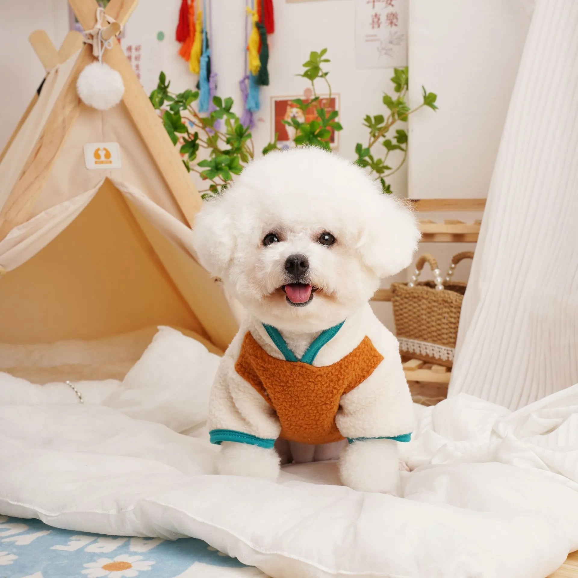 Dog wearing lambswool Berber fleece sweatshirt in caramel colour for autumn winter wear