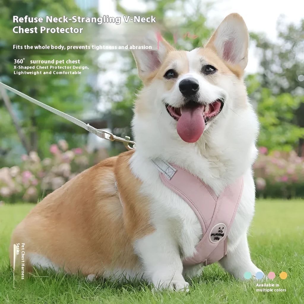 Polyester dog vest and matching lead set in blue, shown on a dog model.