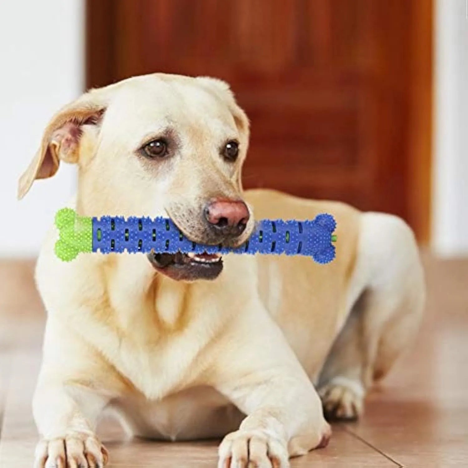 Blue-green silicone dog dental cleaning stick with serrated brush head and food crevice, 25cm long