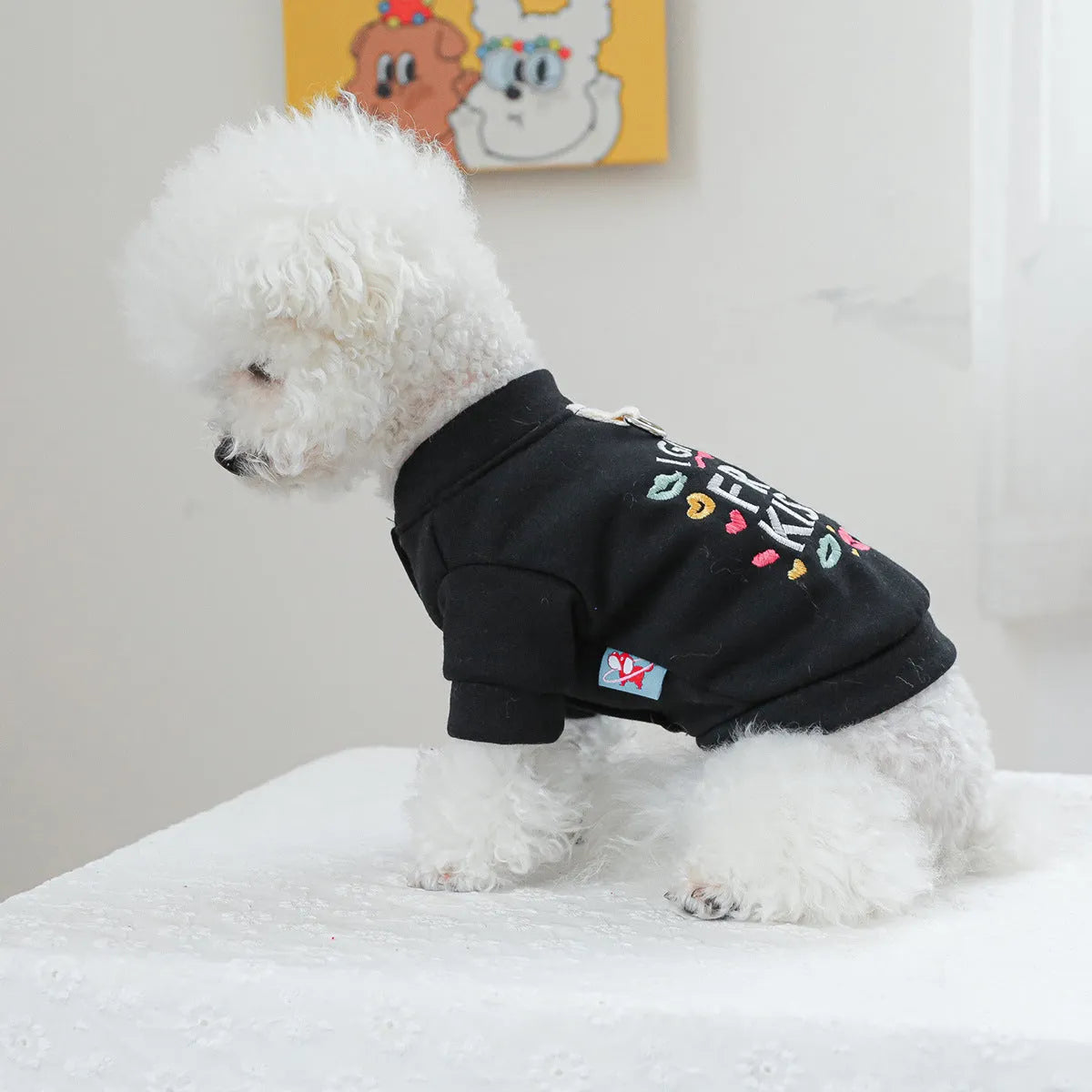 A casual grey pet knitwear jumper for dogs or cats, shown in Kiss Sweater colour.