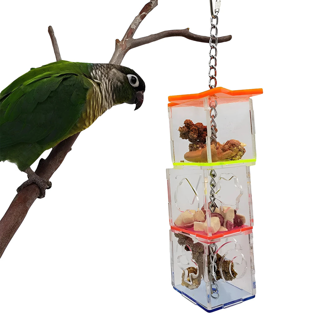 Clear acrylic bird foraging toy, tall rectangular shape for holding nuts and fruit.