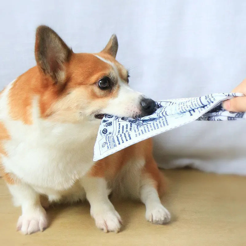 Tearproof pet dog sound toy in playing card design with simulated newspaper squeaking function