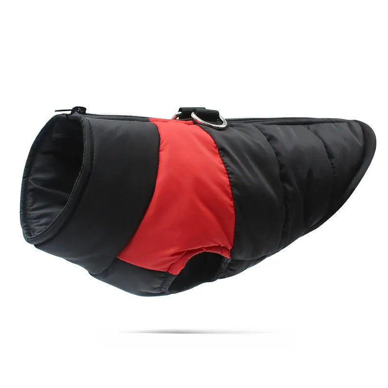 Waterproof padded dog jacket in multiple colours with front zipper, sizes S to 5XL