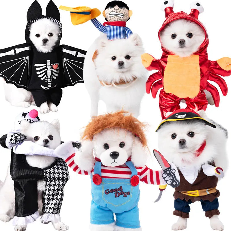 Halloween dog costume selection showing bat suit, devil outfit and pumpkin pack designs