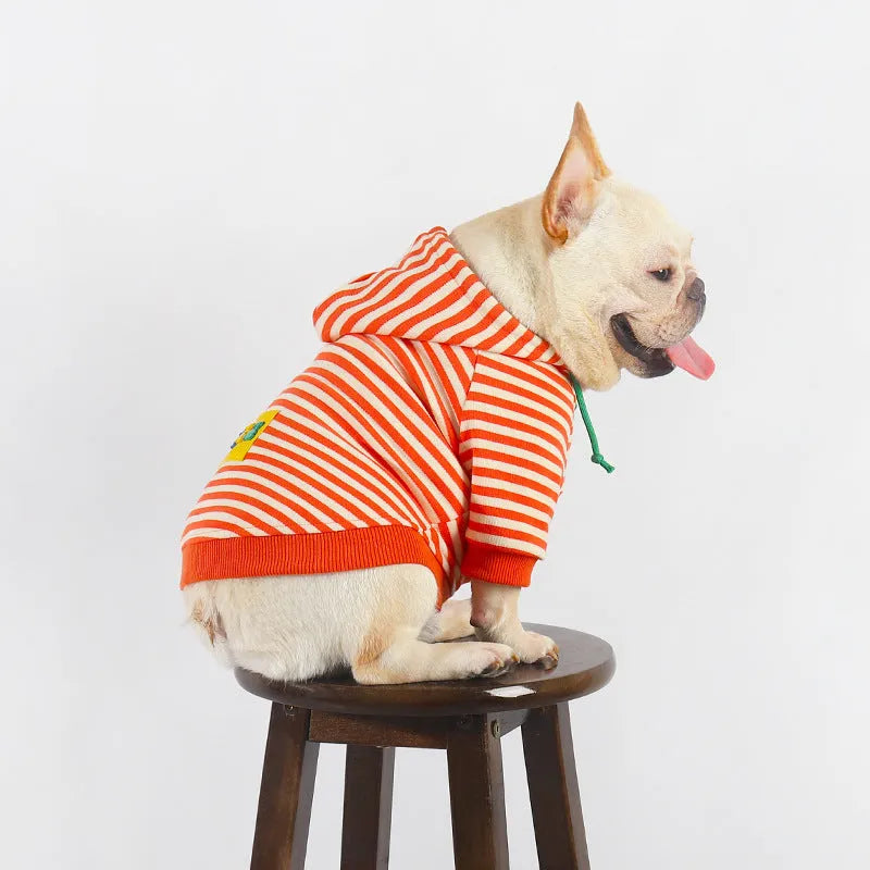 Orange cotton hooded dog sweater for bull pugs in Japanese Korean style