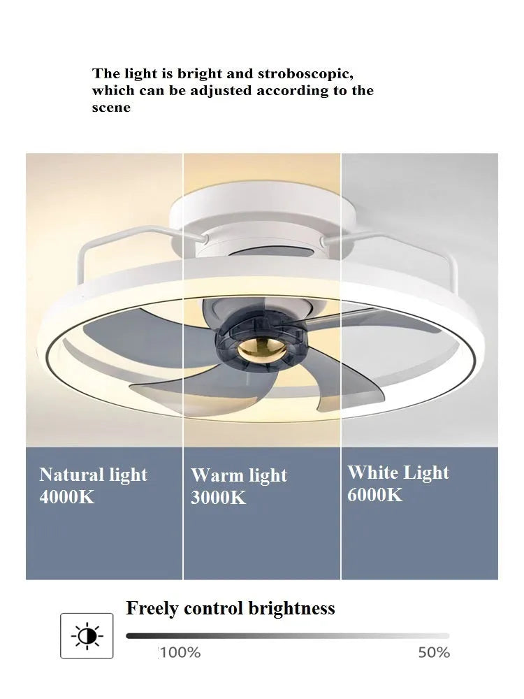 Modern simple design ceiling fan with light showing PC blades and acrylic lampshade in a chosen colour