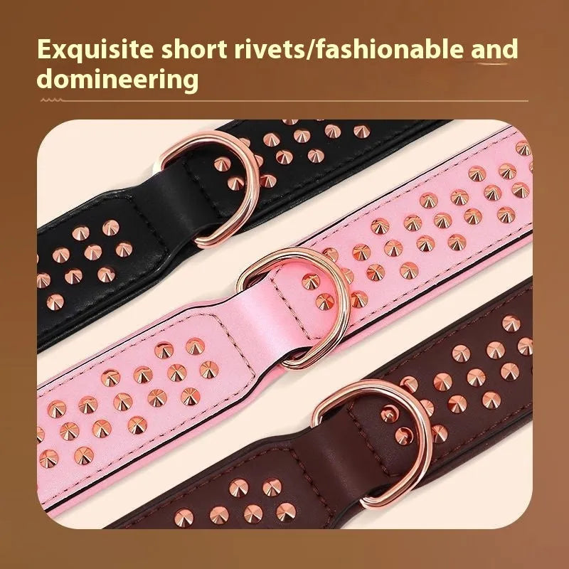 Black leather dog collar with metal rivets and buckle for large adult dogs