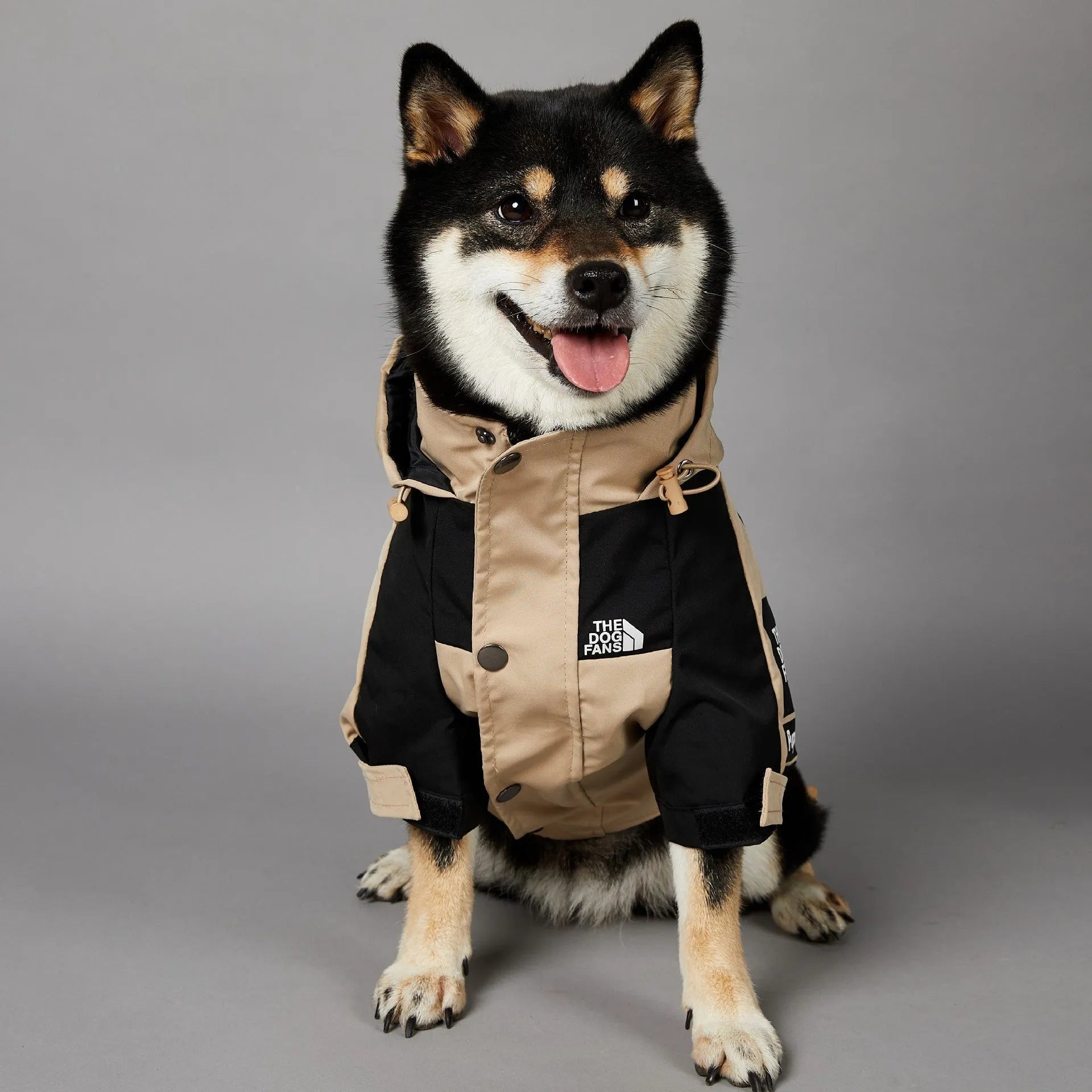Khaki coloured polyester dog shell jacket shown on mannequin, back and side coverage design