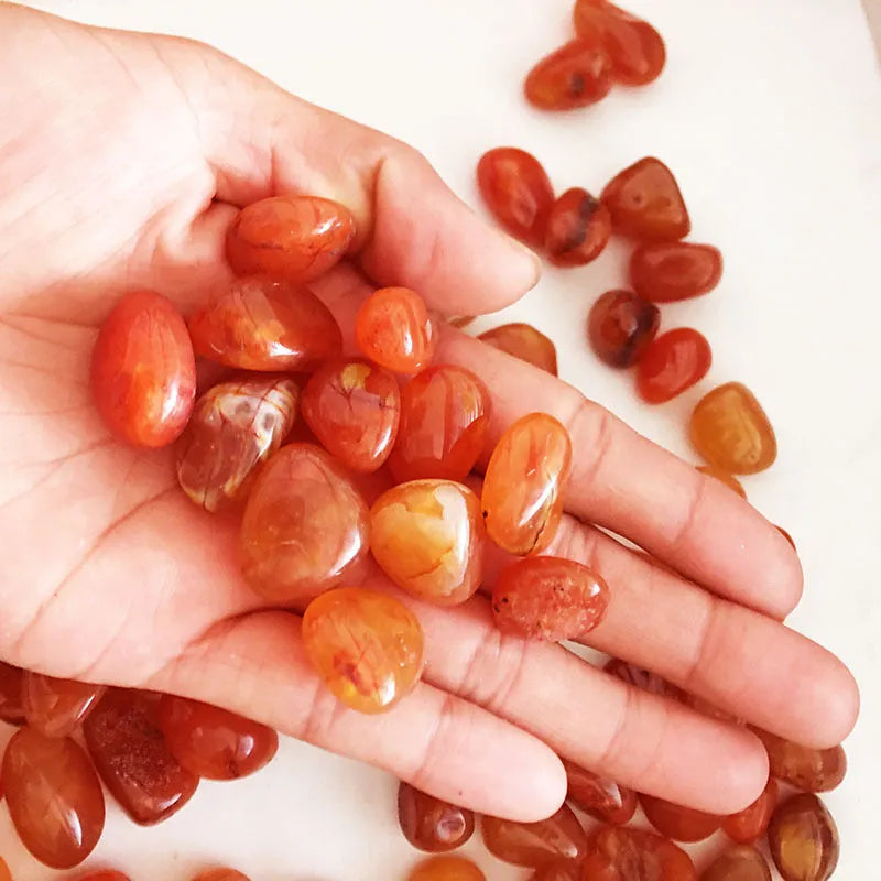 Natural red carnelian rough stone crystal specimens 15-20mm on neutral background
