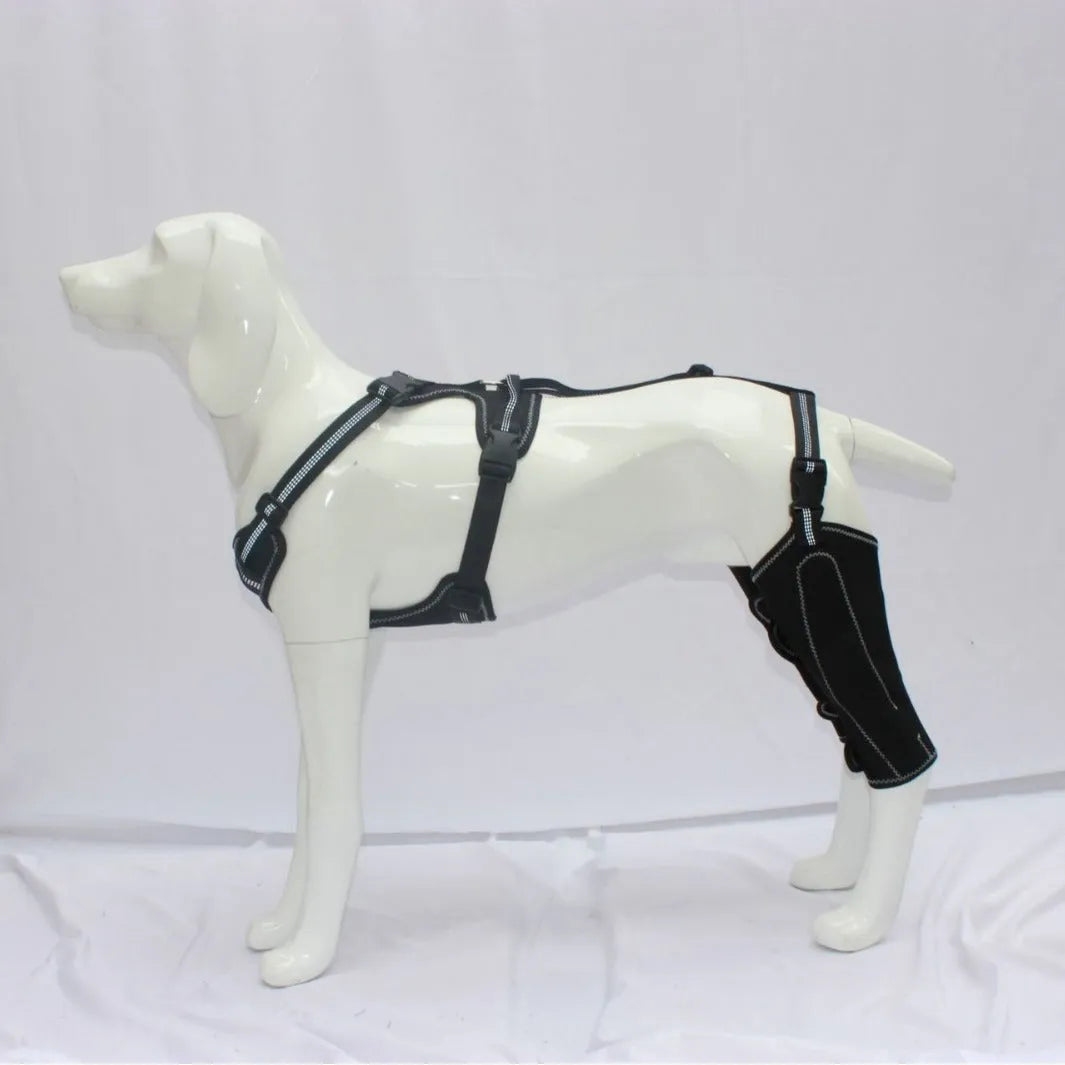 Black dog thigh protective sleeve with adjustable metal support for postoperative leg recovery