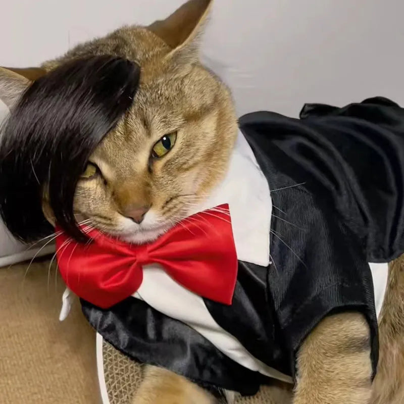 Black polyester pet wig with imitation braid style for cats on a white background
