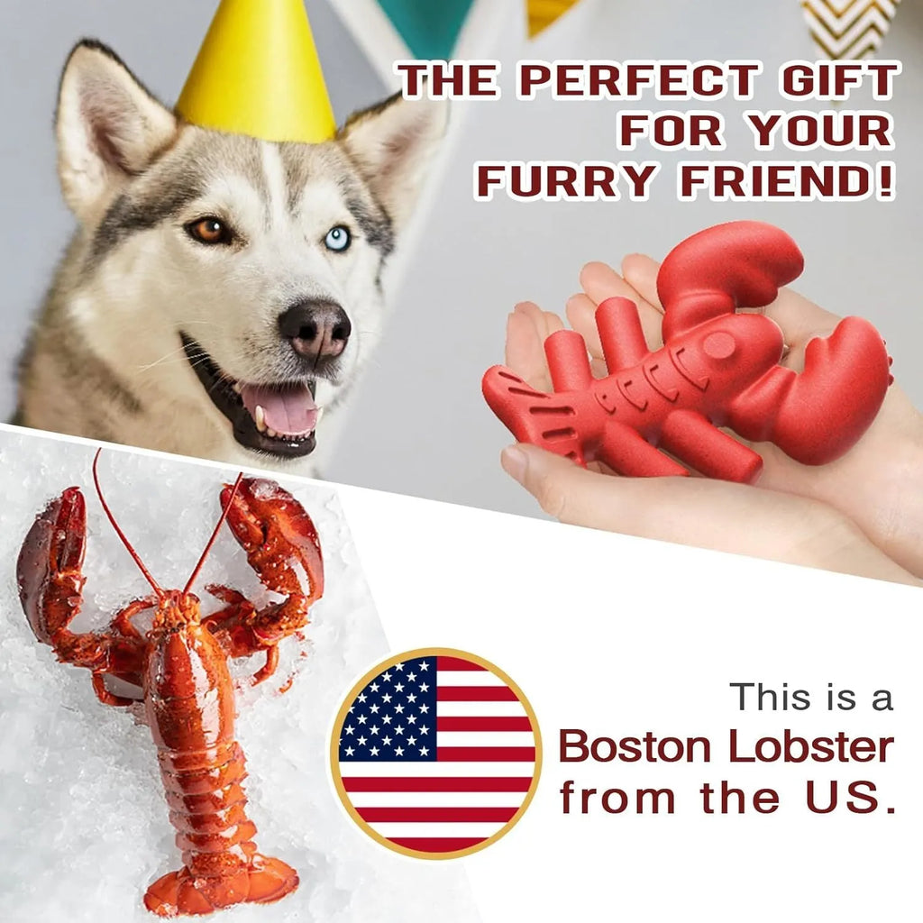 Red hard-material dog chew toy for large aggressive chewers, shown with size scale.