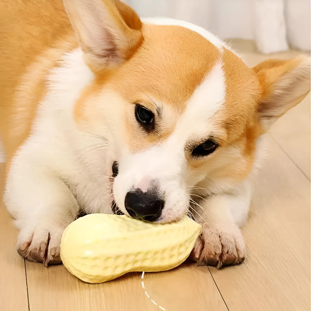 Yellow TPR peanut-shaped dog chew toy with textured surface for dental cleaning