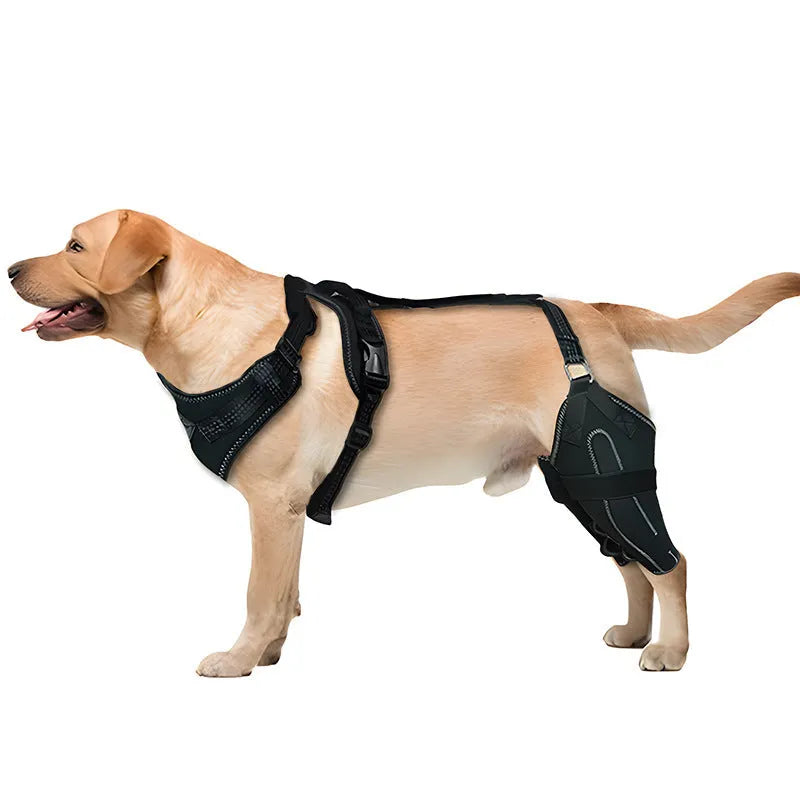 Black dog thigh protective sleeve with adjustable metal support for postoperative leg recovery