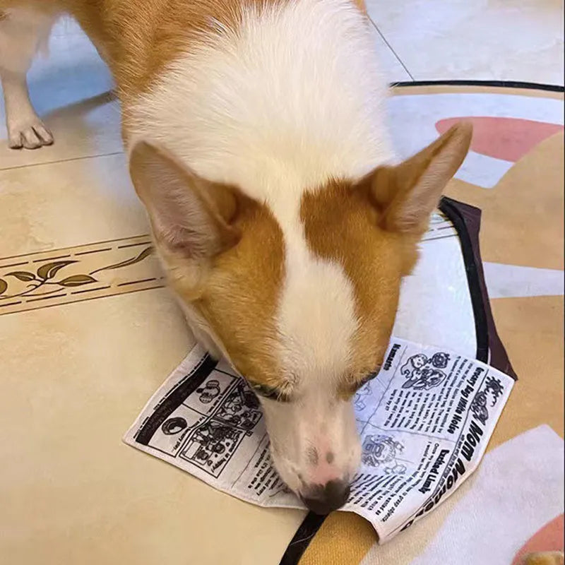 Tearproof pet dog sound toy in playing card design with simulated newspaper squeaking function