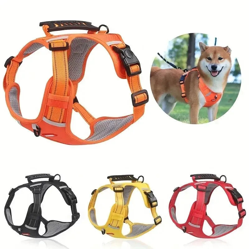 Polyester dog chest harness and lead set shown in multiple colours including lake blue, on a size chart from XS to XL.