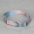 Gradient colour nylon dog leash shown in pink and blue, with collar attachment style.