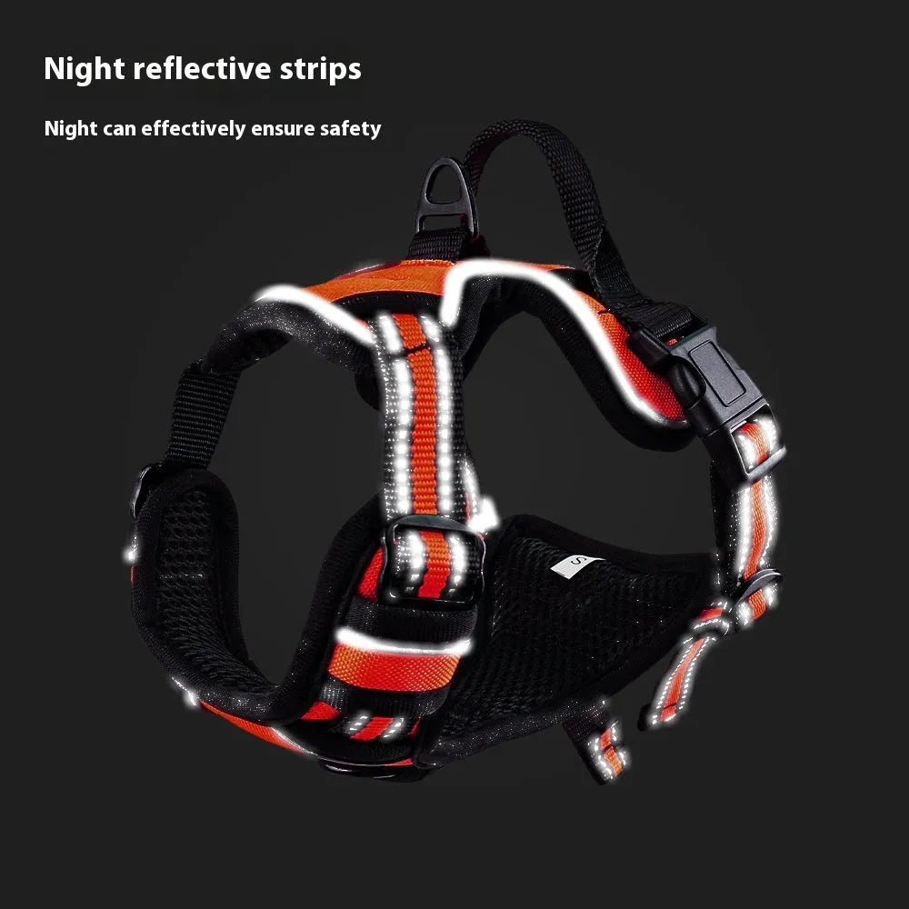 Adjustable outdoor dog harness in Oxford cloth shown in multiple colours and sizes.