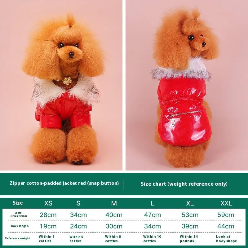 Blue British-style cotton puppy jacket for winter warmth on small dog