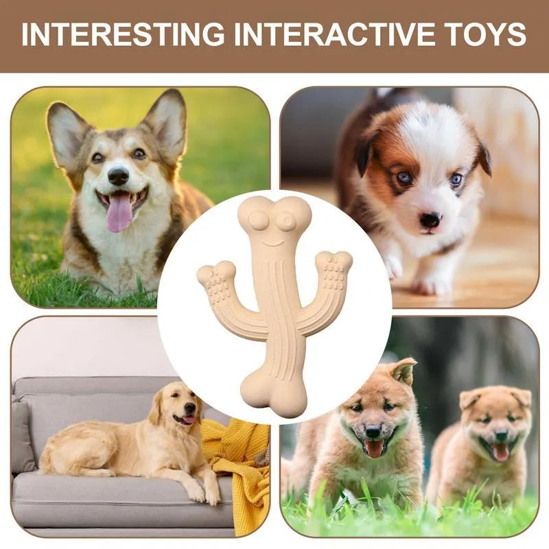 Cactus-shaped dog chew toy in bamboo fibre and rubber available in small and large sizes