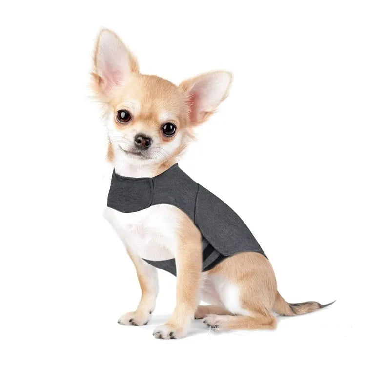 Heather grey dog anxiety vest shown on a model, illustrating its jacket style and fit.