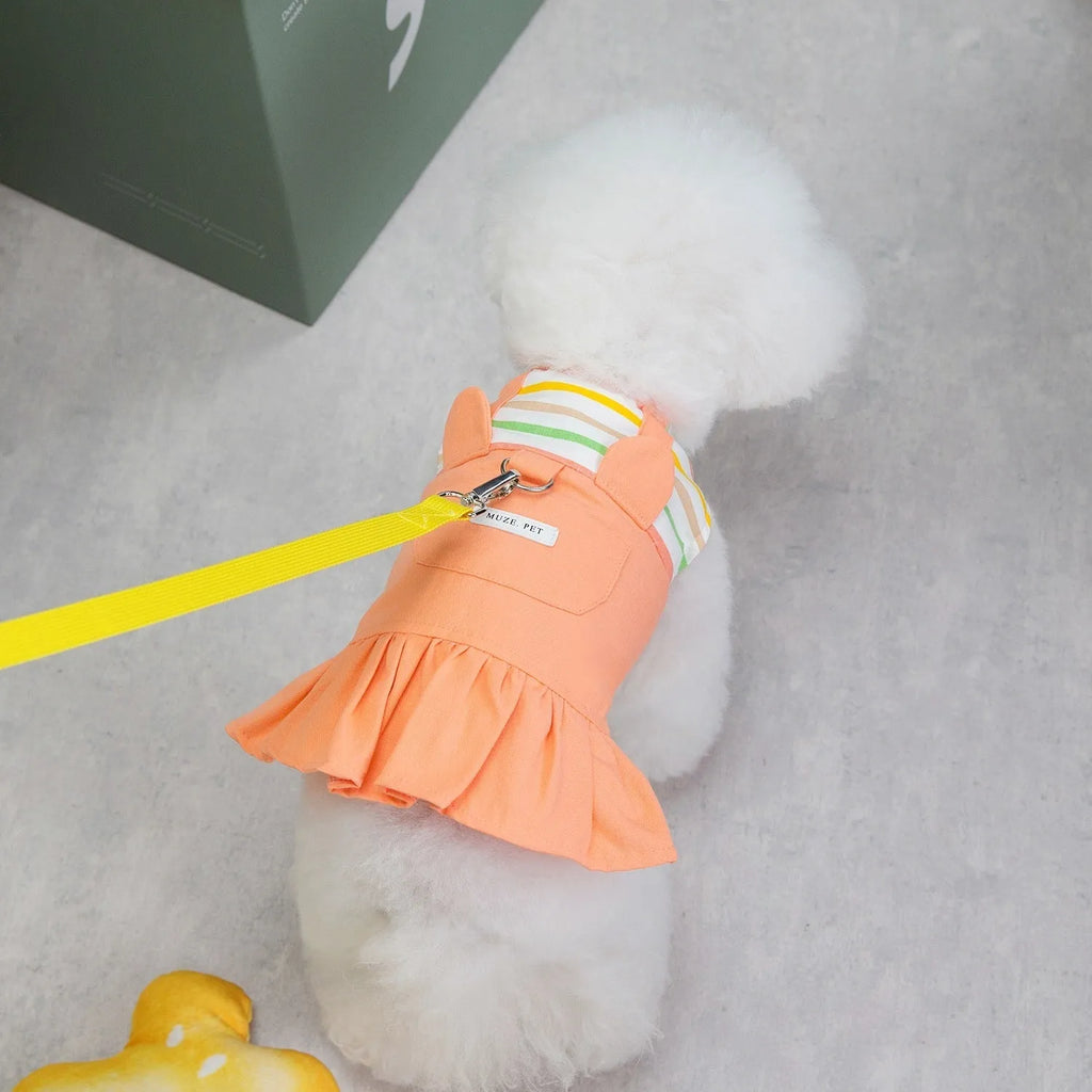 Striped orange and yellow patchwork cotton skirt for dogs on various sized breeds