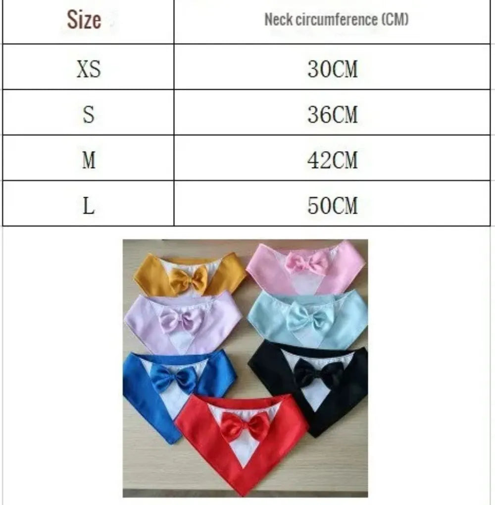 Colourful cotton dog bandana bib scarf with absorbent layer shown in multiple sizes on a collar.