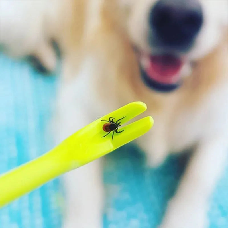 Three blue plastic pet tick removal clips with hook ends on a white background.