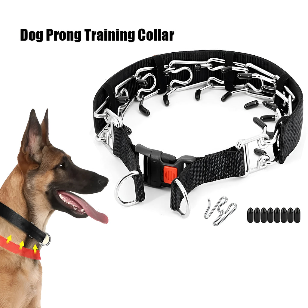 Close-up of a metal chain dog training collar with spike links, shown in reflective blue colour.