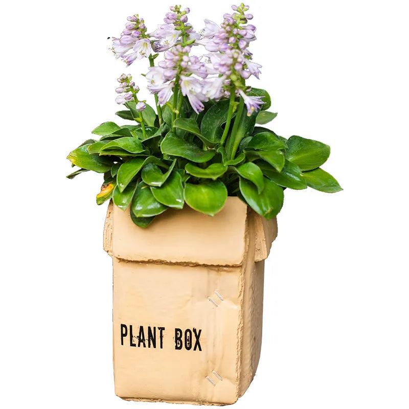 Cement brown paper box design flowerpot with pre-punched bottom drainage hole