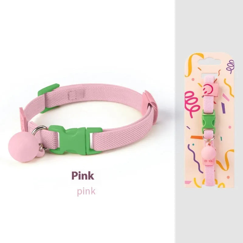 Small dog wearing a high elasticity polyester pet collar in a choice of seven solid colours.