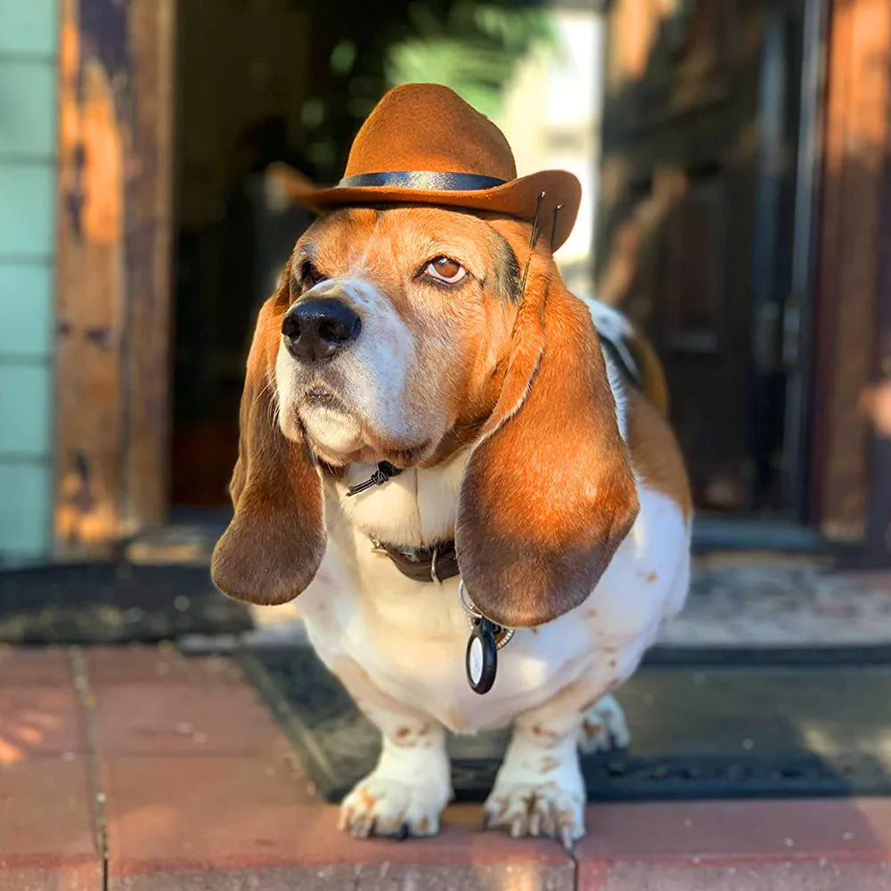 Adjustable pet dog cowboy hat in brown shown on a small dog for size reference.