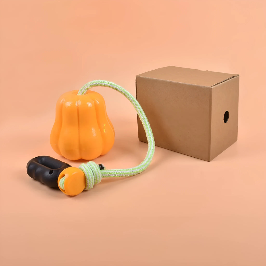 Pumpkin-coloured plastic molar dog chew toy with a blue rope attached on a white background.