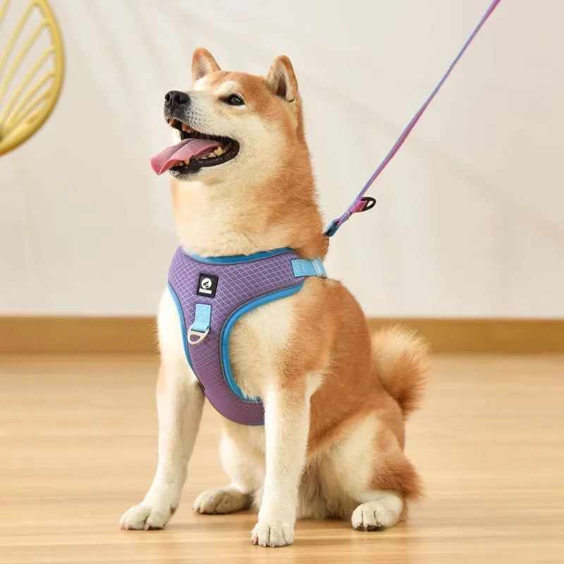 Adjustable mesh dog harness with reflective strips in multiple colour options