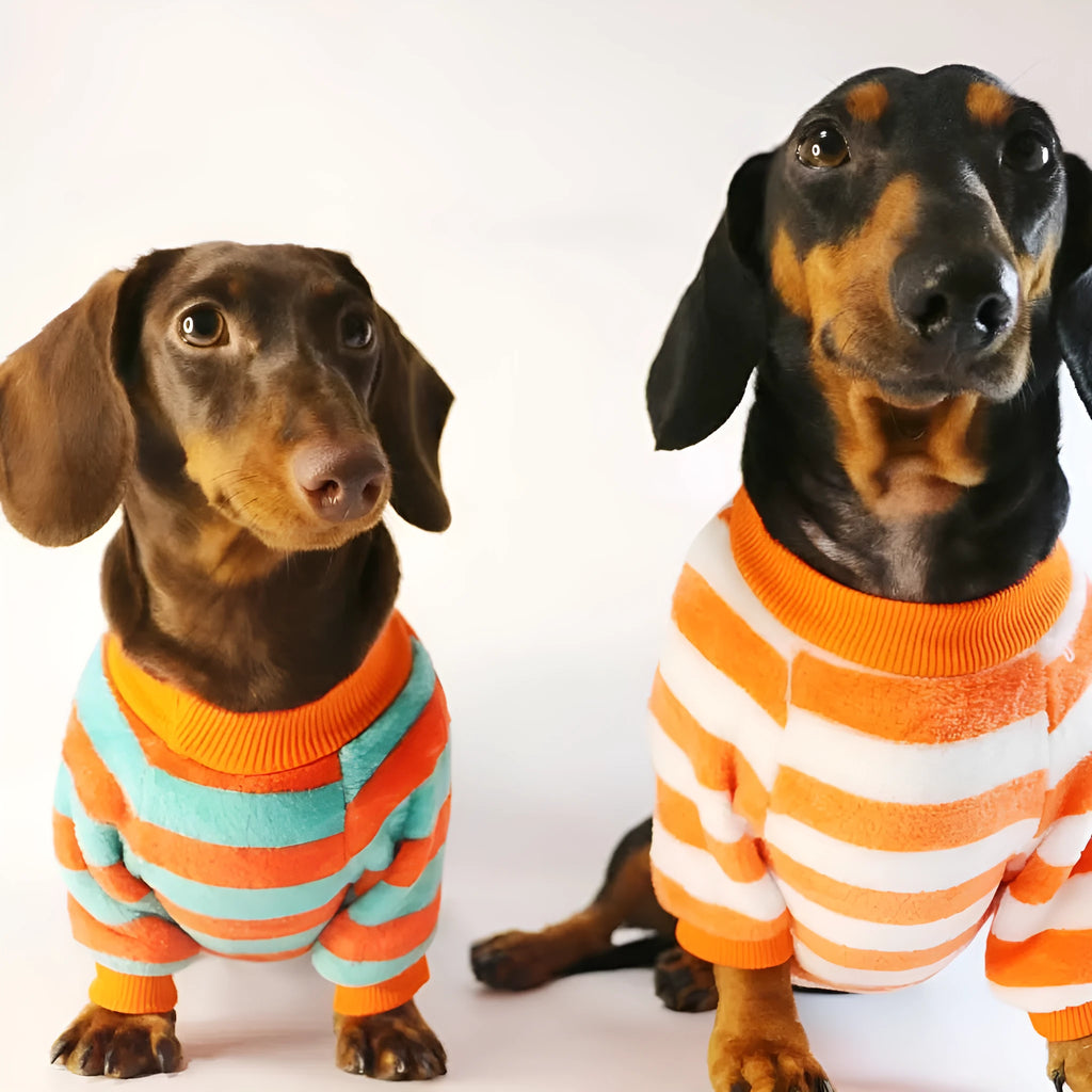 Striped casual sweatshirt for a dog or cat with a round neck, shown in orange-red and white stripes.