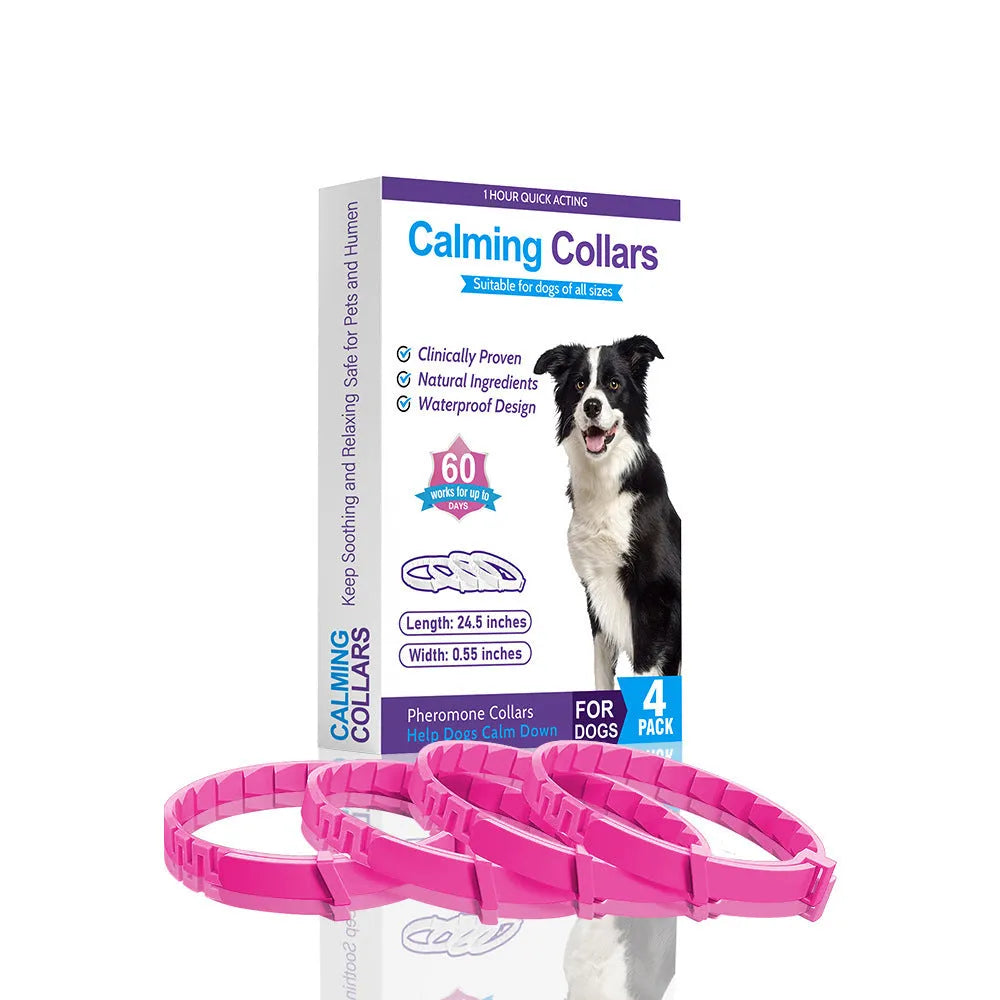 Four identical TPR dog collars in different colours on a white background.