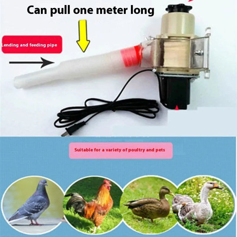 Solar panel automatic chicken and duck feeding machine with timer display and watertight casing.